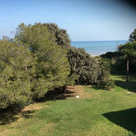 Entre Mer Et Piscine Hyeres Exterior photo